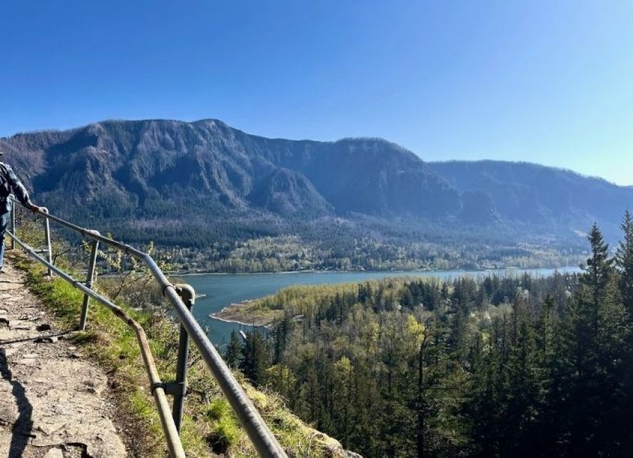 nxtConcepts - Marketing 