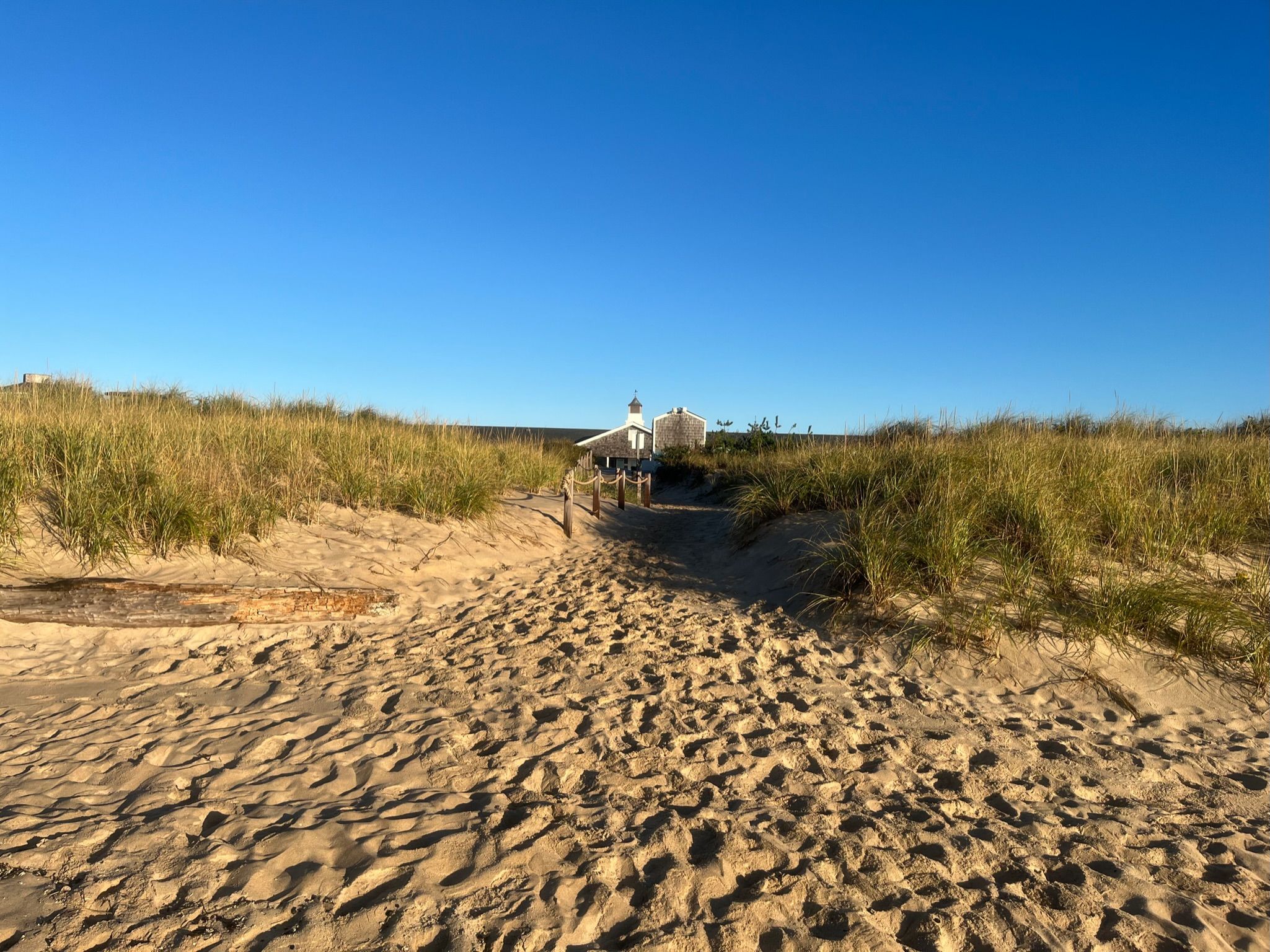 nxtConcepts - Google Ads Services 