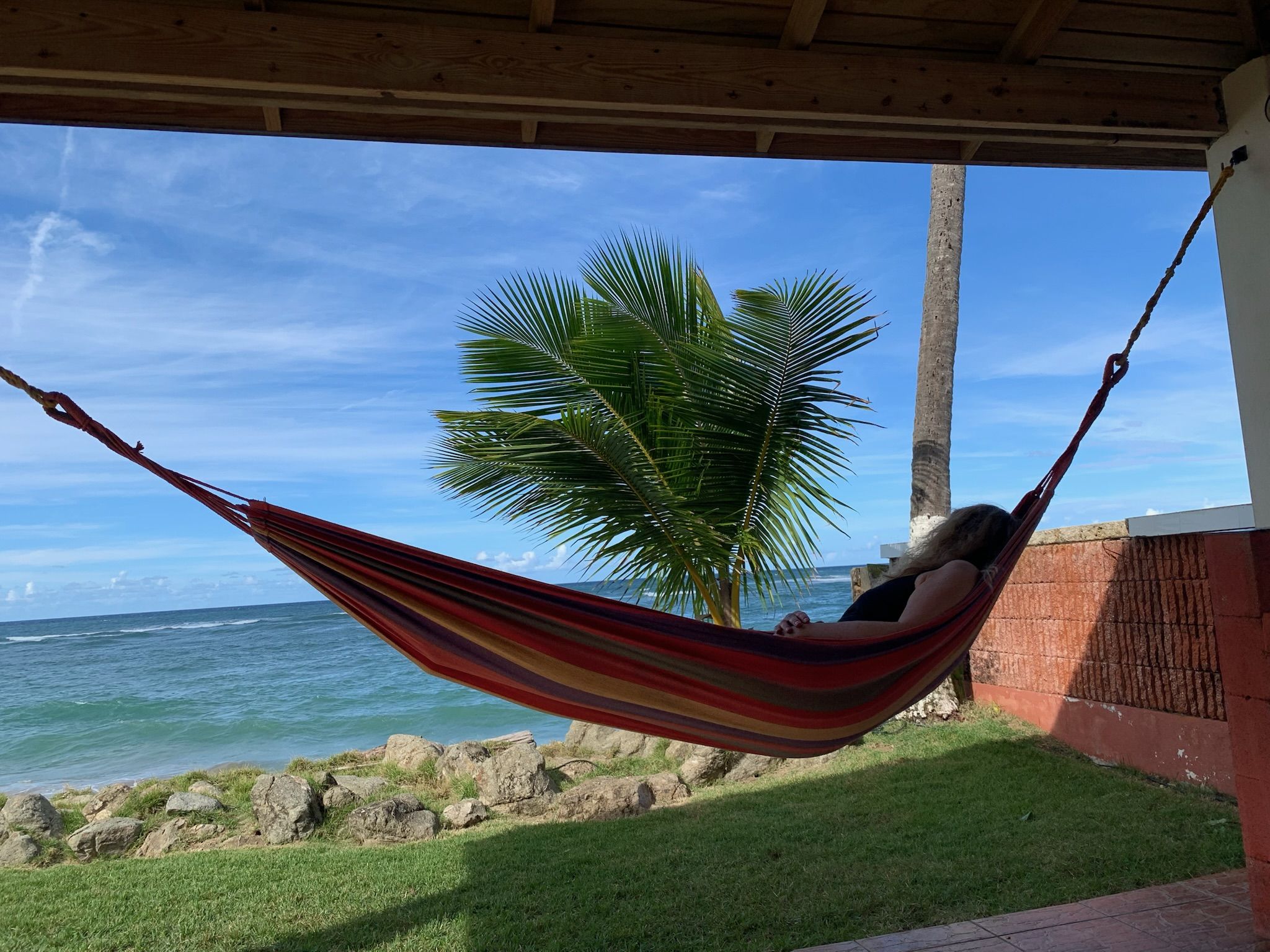 nxtConcepts - Google Ads Services 