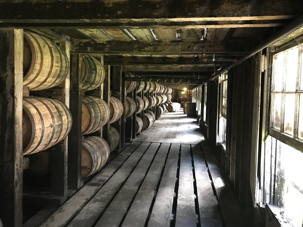 nxtConcepts - The Digital Concierge - Web Support 