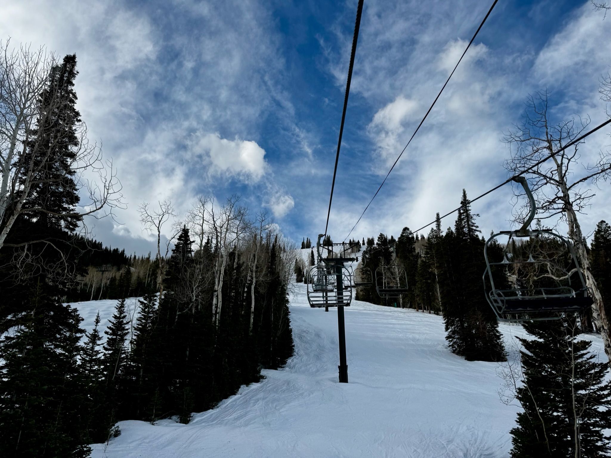 nxtConcepts - Google Ads Services 