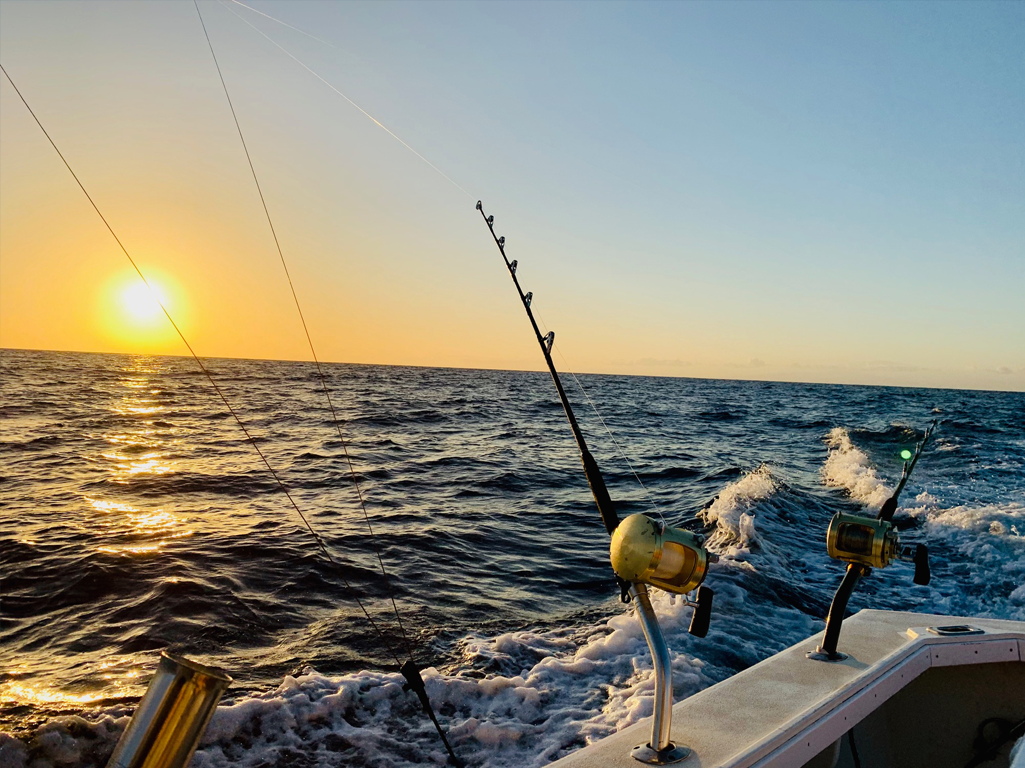 nxtConcepts - Streaming TV (OTT) & Radio 