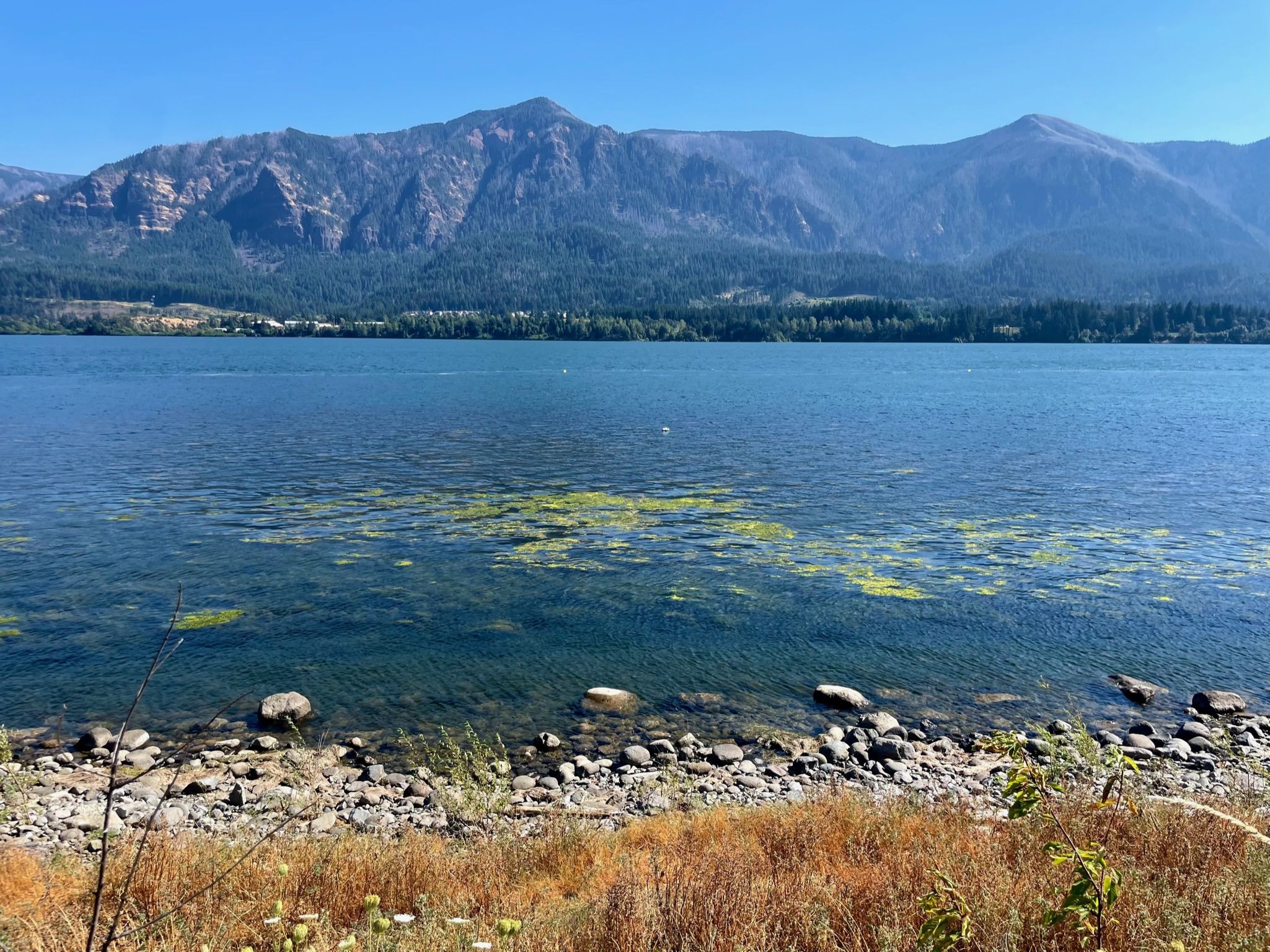 nxtConcepts - AI chatbots 