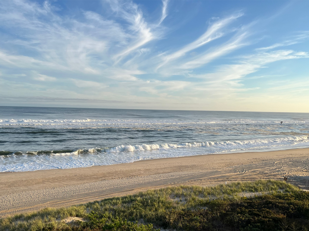 nxtConcepts - Creative Design website design, brochures, advertising