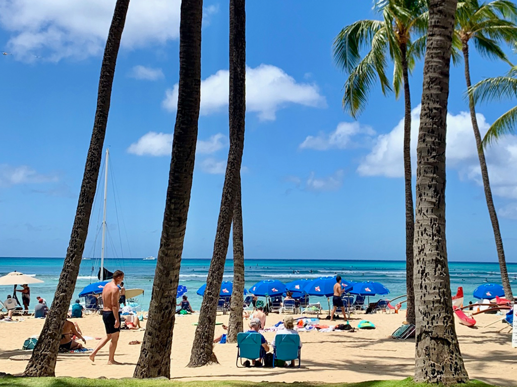 nxtConcepts - Website Security 