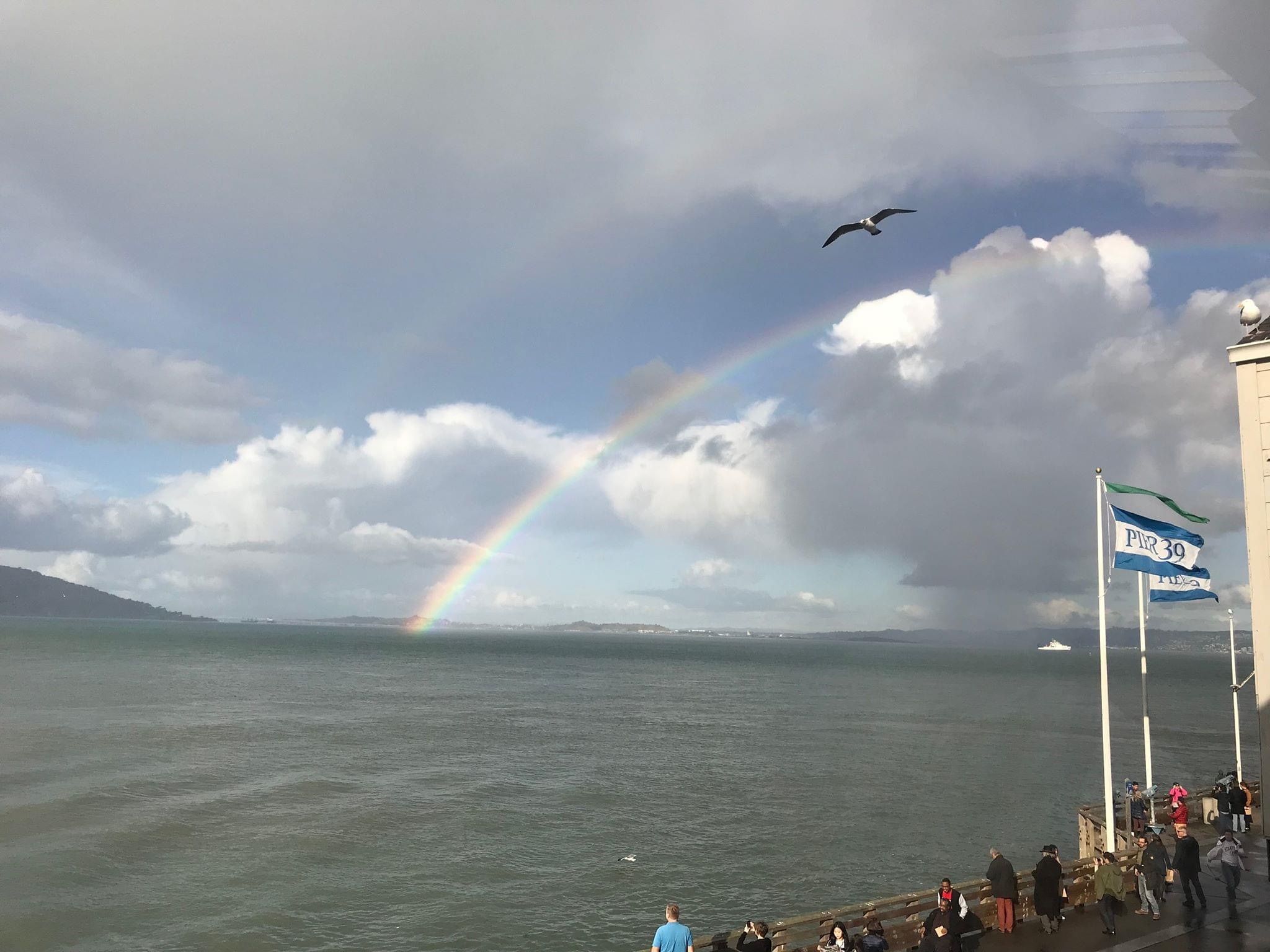 nxtConcepts - Facebook Ads Services 