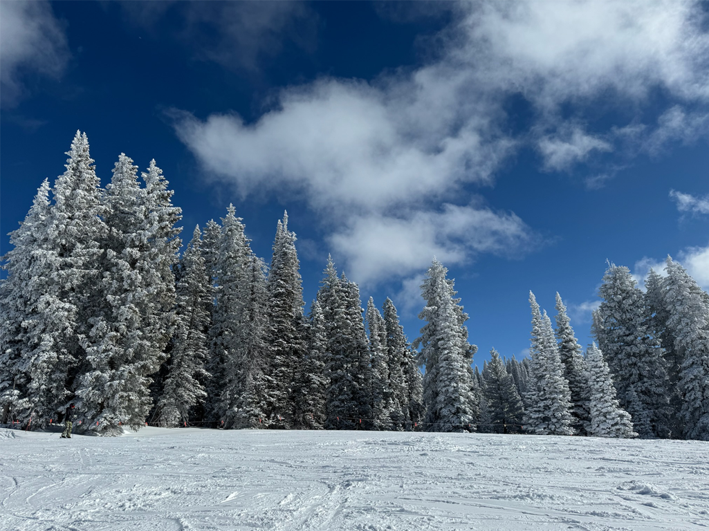 nxtConcepts - Streaming TV (OTT) & Radio 