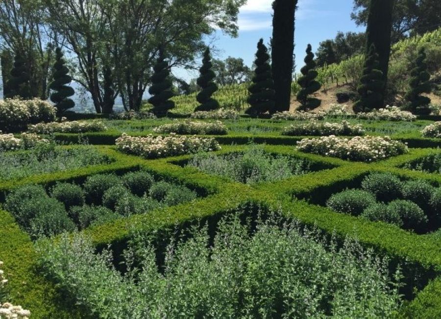 nxtConcepts - Marketing 